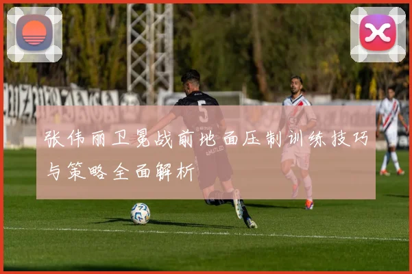 张伟丽卫冕战前地面压制训练技巧与策略全面解析