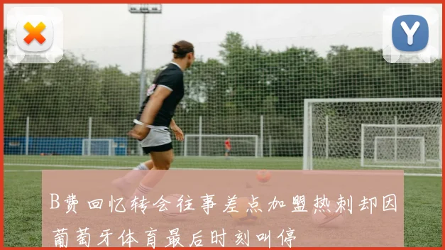B费回忆转会往事差点加盟热刺却因葡萄牙体育最后时刻叫停